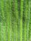 O verde torceu as almofadas molhadas 14*48 do espanador de Microfiber do bolso da tela de Oxford da dobra