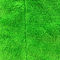Verde Coral Fleece 30x30 de pano de limpeza de Microfiber da poliamida do poliéster